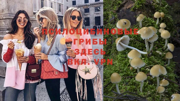 прущие крисы Саяногорск
