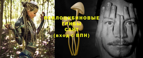 спиды Арсеньев