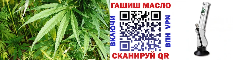 дарнет шоп  Петровск  ТГК вейп с тгк 