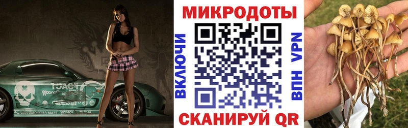Галлюциногенные грибы GOLDEN TEACHER  Петровск 
