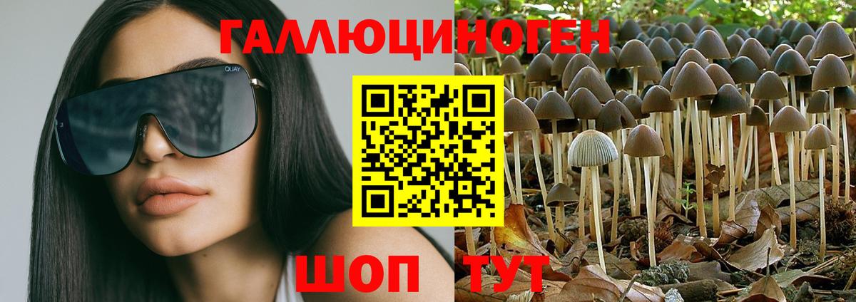 Псилоцибиновые грибы мицелий  Вход с VPN  Галлюциногенные грибы MAGIC MUSHROOMS  купить наркотик  Петровск 
